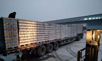 一站式城市運輸服務 從長途搬家到轎車托運的全面解決方案